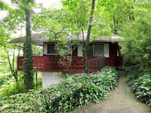 dog friendly in taos new mexico